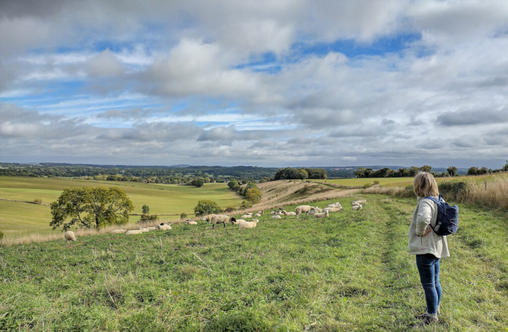 View across the Hampshire countryside in late summer