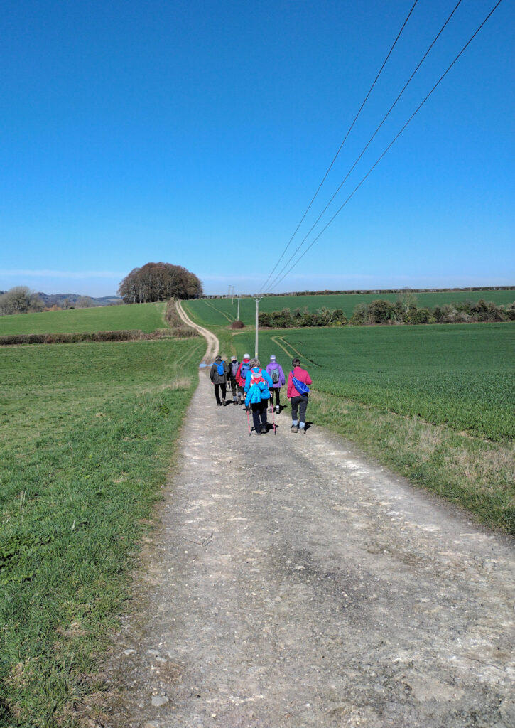 Bigwalk on the Test Way April 2023