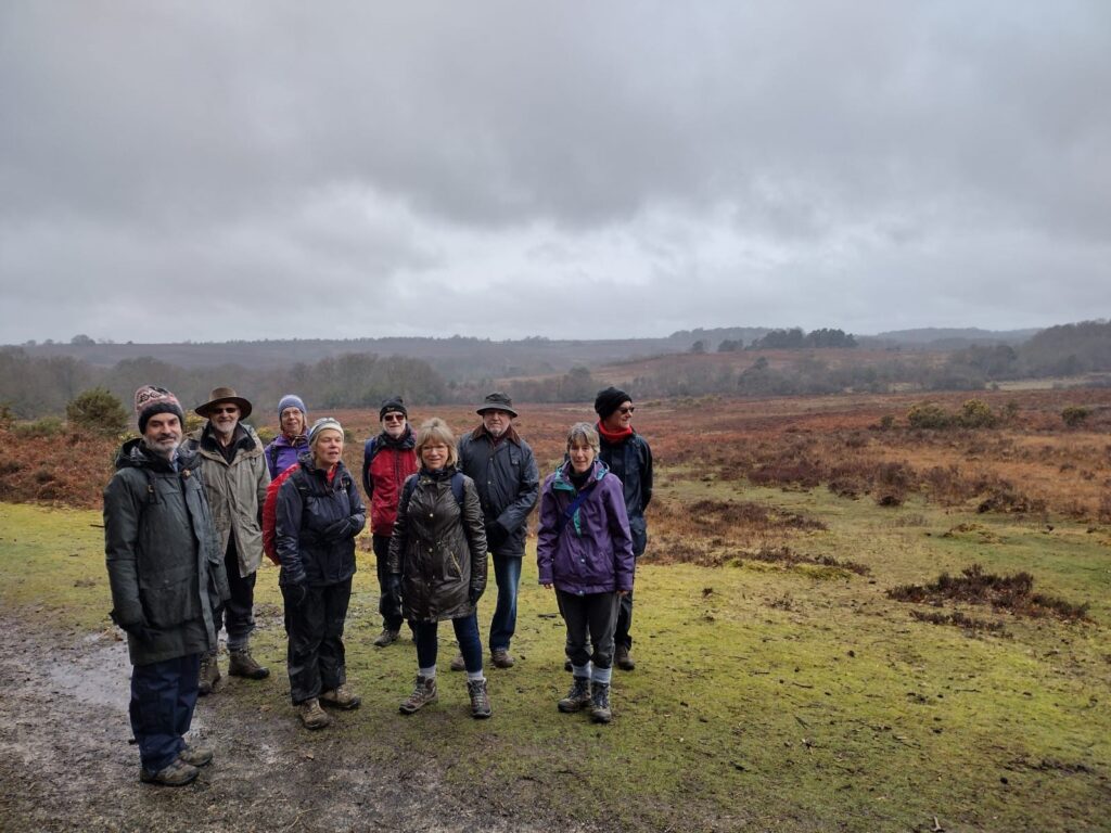 The new forest in the rain!