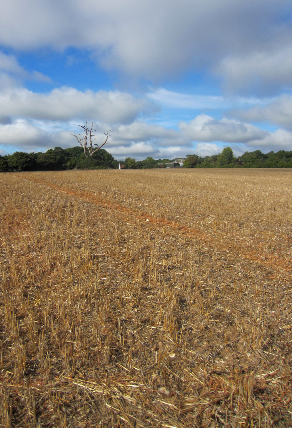 Looking across fields in late September