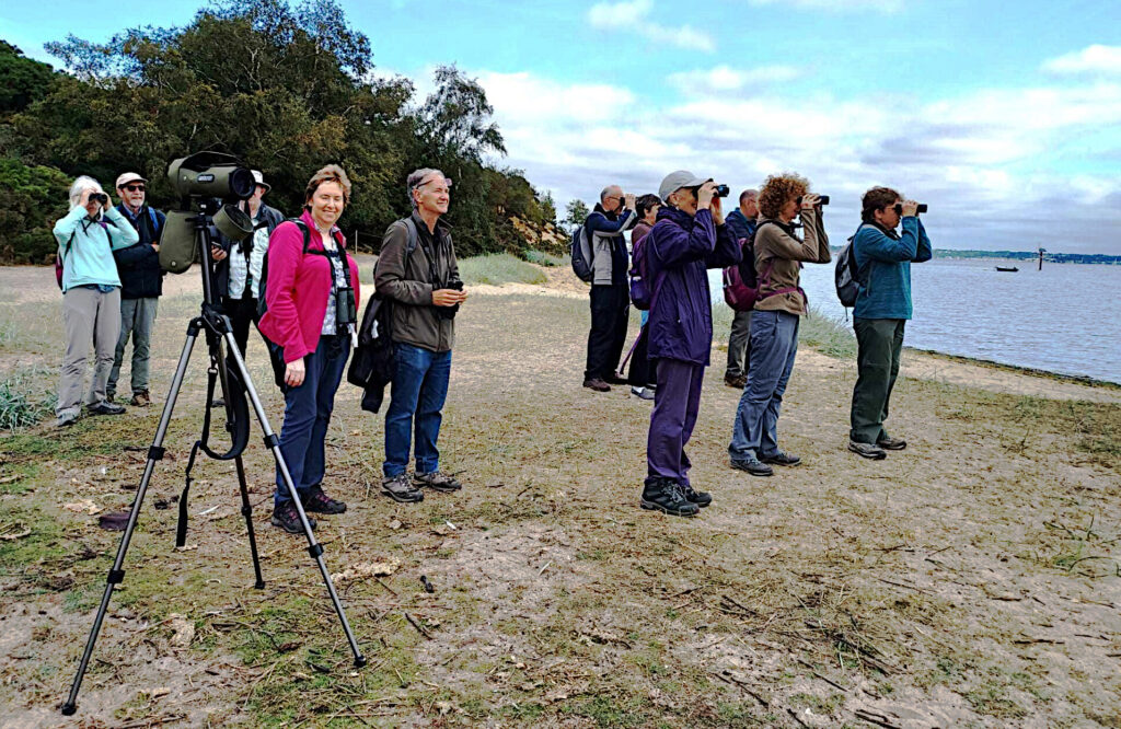 Looking for the elusive bird of the day