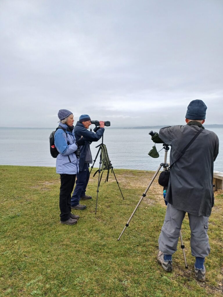 Overlooking Keyhaven marshes