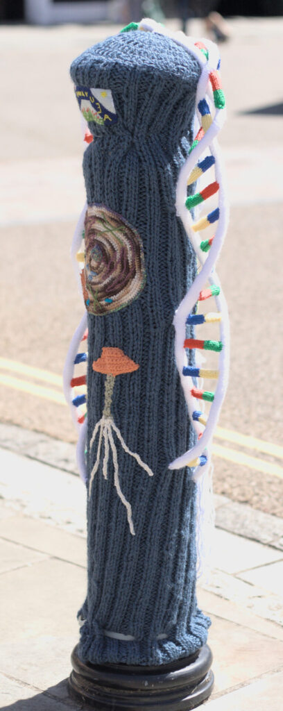 Double Helix yarn Bomb