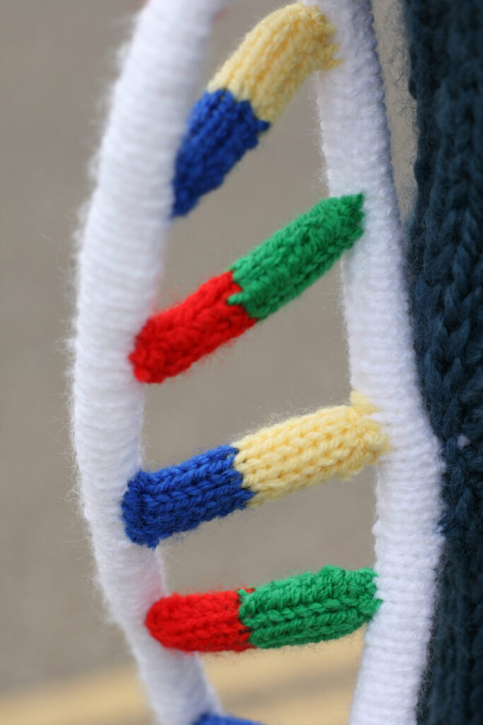 The double helix bollard