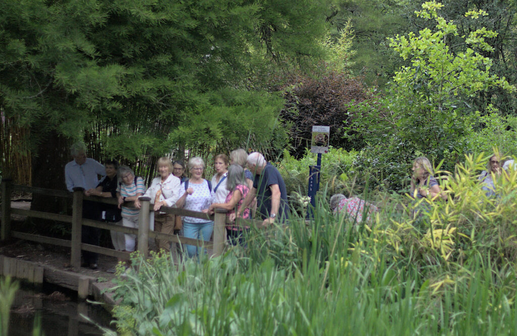 The group at the end of the pond in the valley