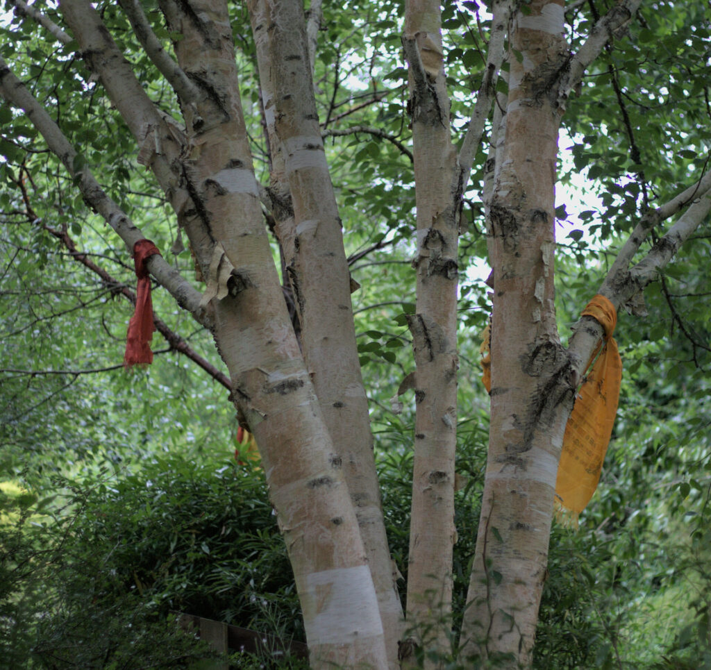 Pray scarves in the tress close to the Gurkha memorial