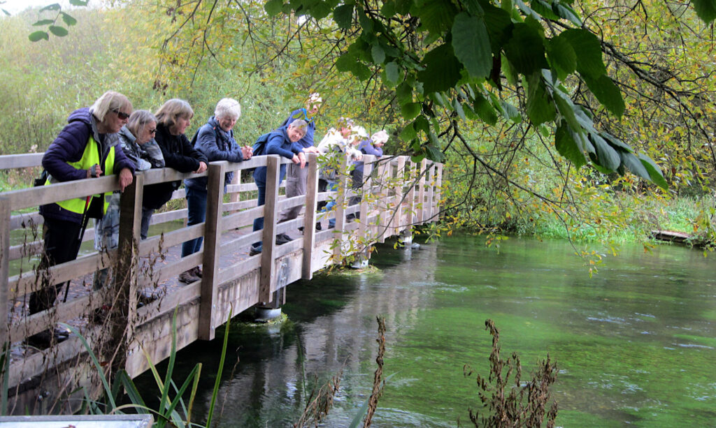 The group on a bridge over the River Itchen
