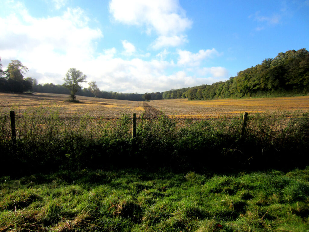 The Hampshire countryside in late October