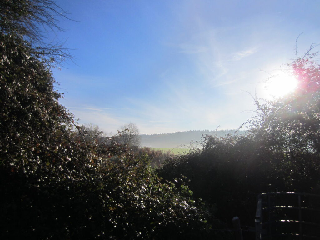 Hampshire at its best, sun and mist